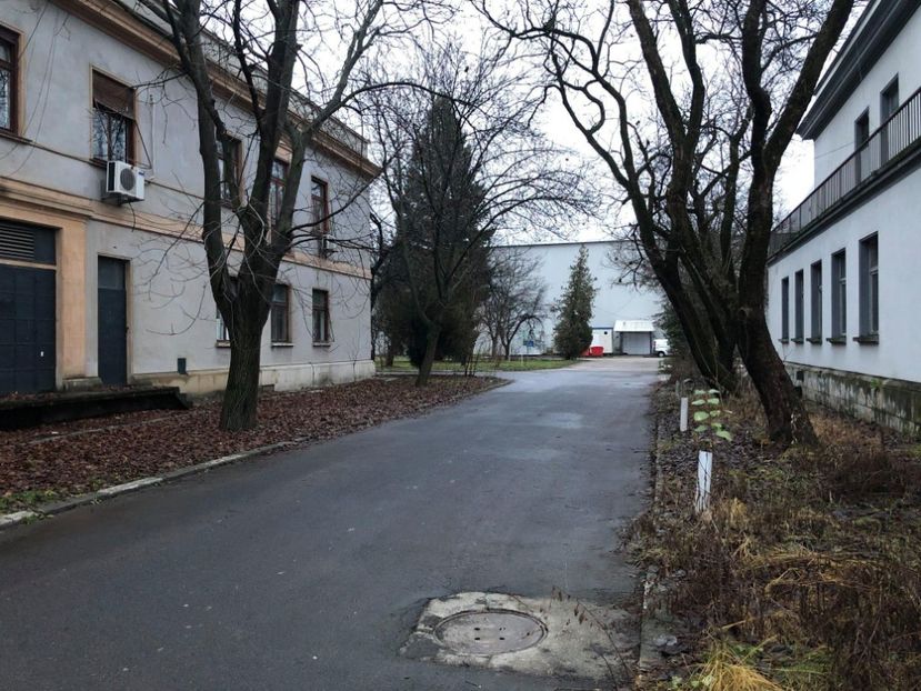 Ciuleandra - Ciuleandra 1985