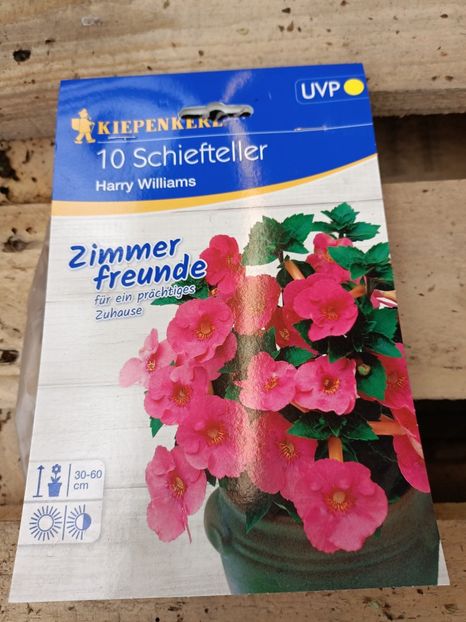 20210512 - A -Magazin