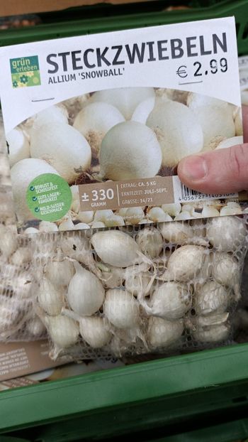 20210512 - A -Magazin