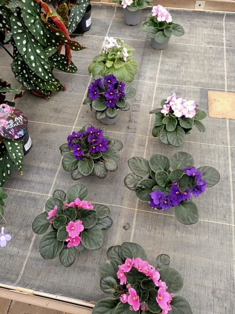 20210512 - A -Magazin