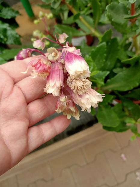 20210512 - A -Magazin