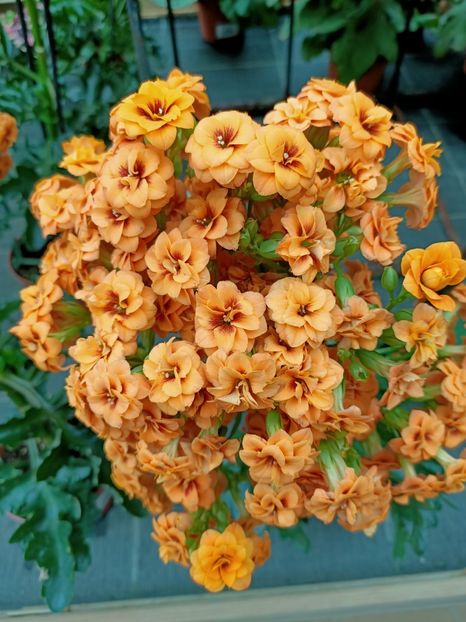 20210512 - A -Magazin