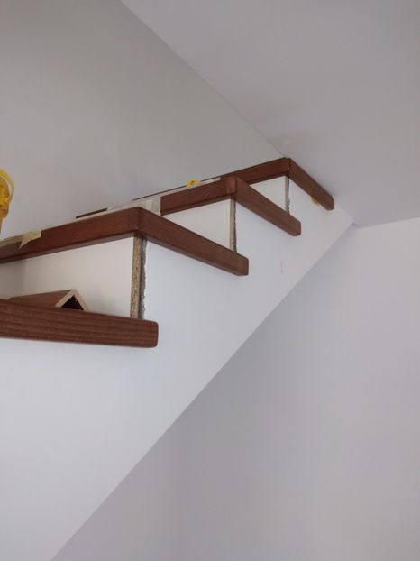  - 2021 Scari Interioare