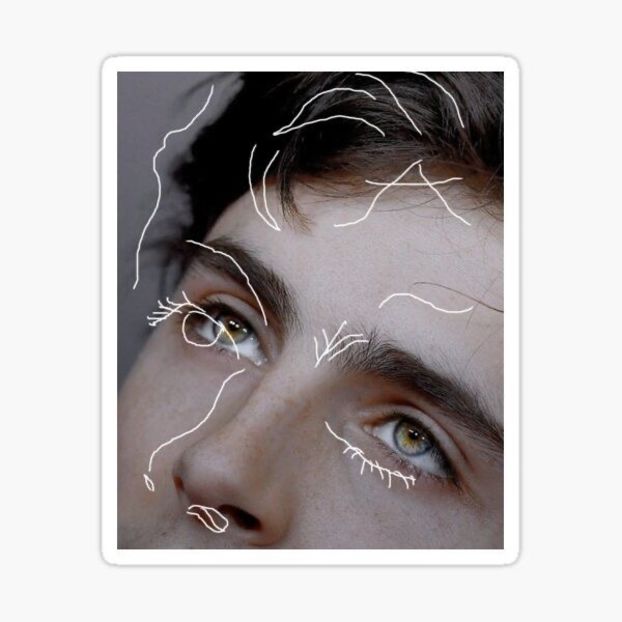  - Je vois la vie en rose