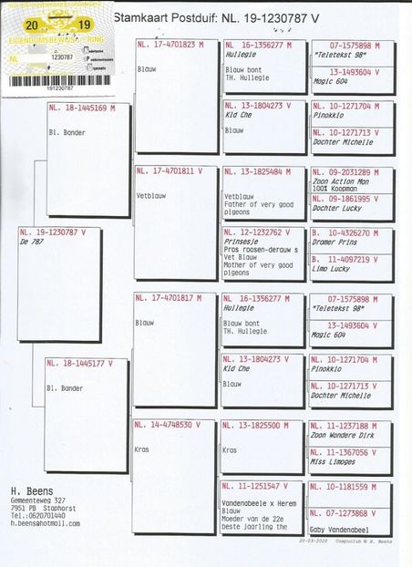 787ped - Achizitii porumbei -2021