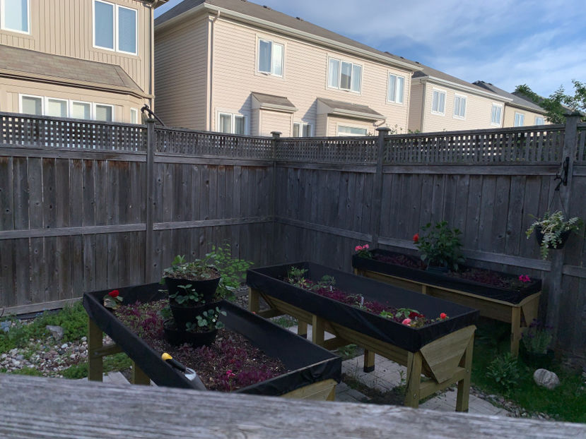  - Jurnalul gradinii 2021