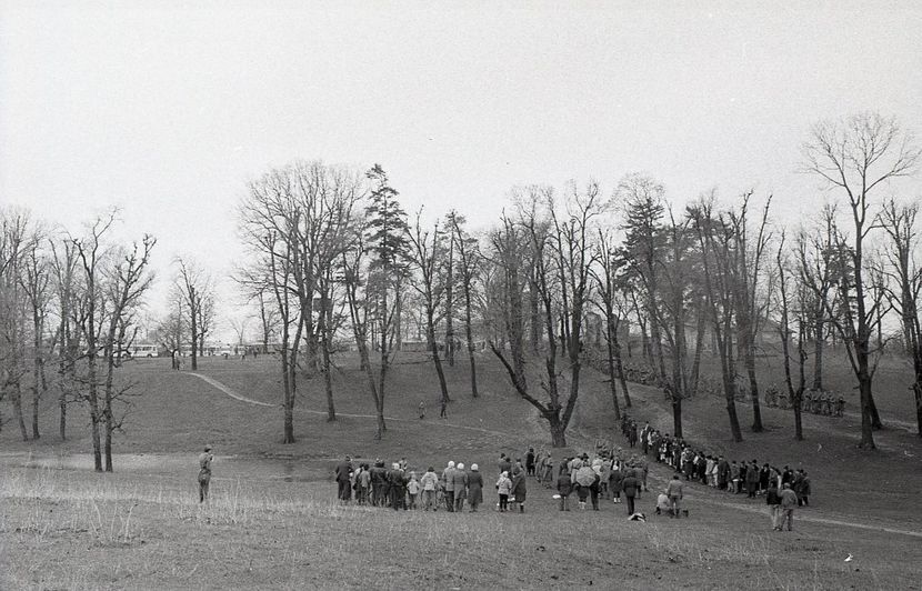 Ciuleandra - Ciuleandra 1985