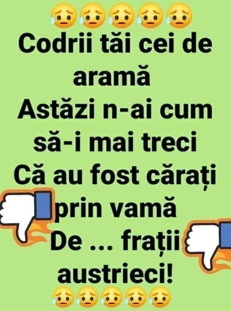  - Divertisment 4