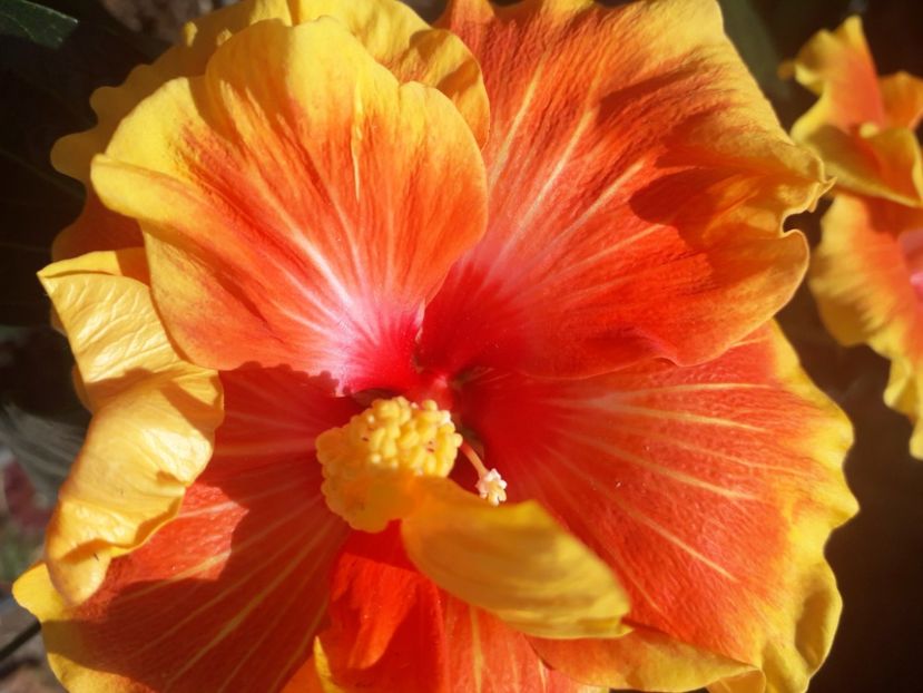  - Talmes Balmes 2021