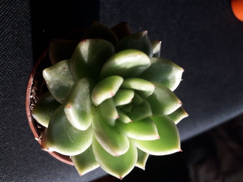  - Talmes Balmes 2021