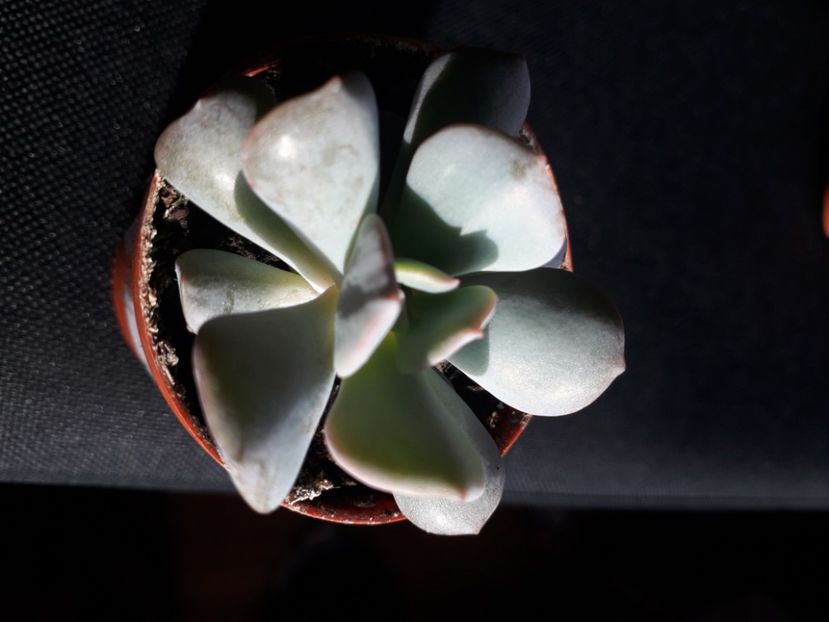  - Talmes Balmes 2021