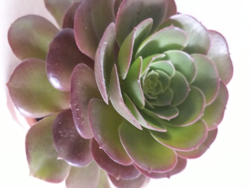  - Talmes Balmes 2021