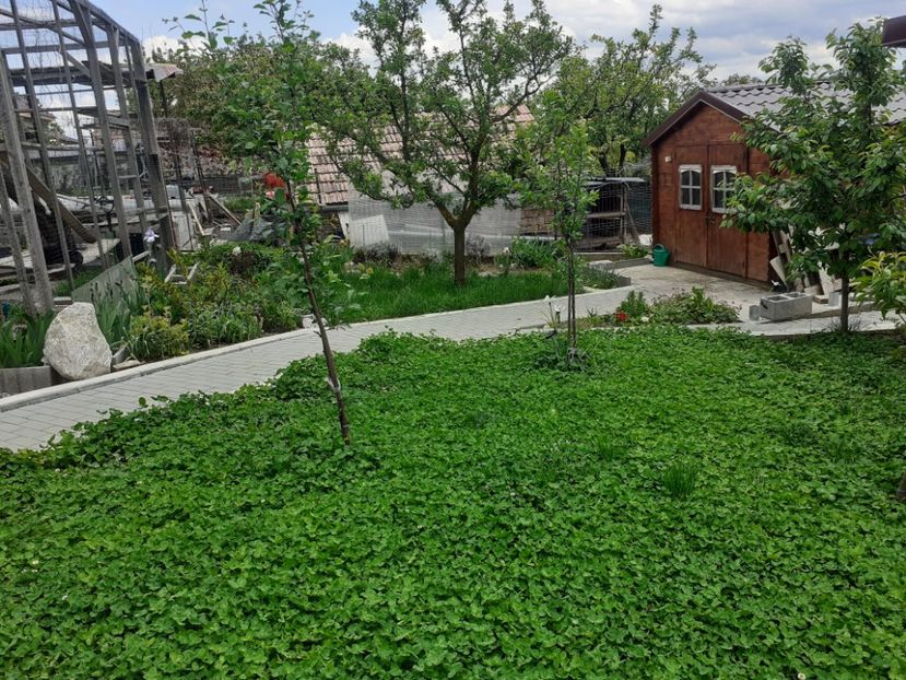  - Gradina 2021