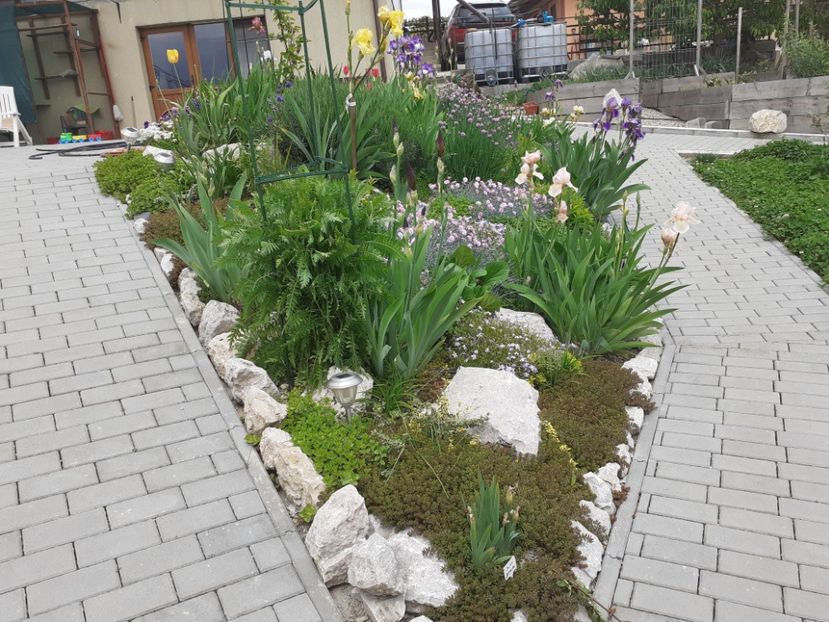  - Gradina 2021