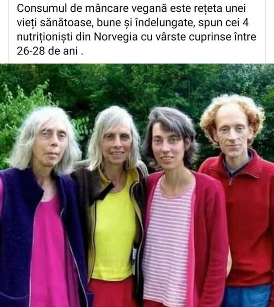  - Divertisment 4