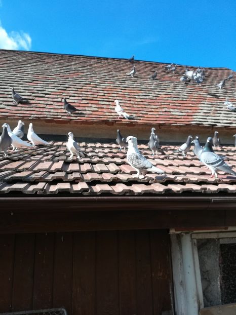 Generația 2021 - Un nou început 2021