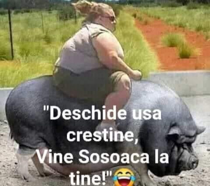 Sosoaca - Bancuri cu Moldoveni