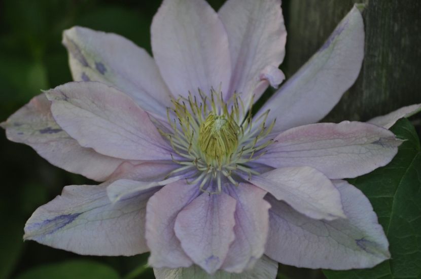 _DSC0276 - PRIMAVARA 2021_4