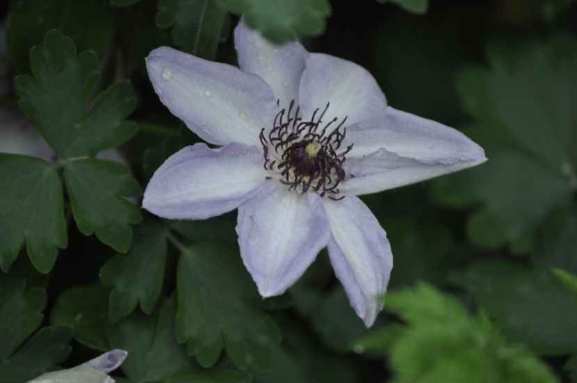 _DSC0017 - PRIMAVARA 2021_4