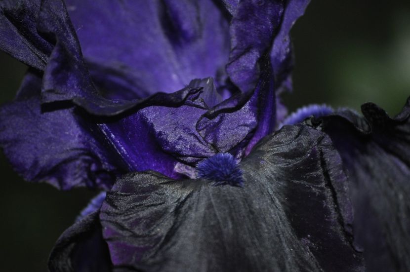 _DSC0226 - PRIMAVARA 2021_4