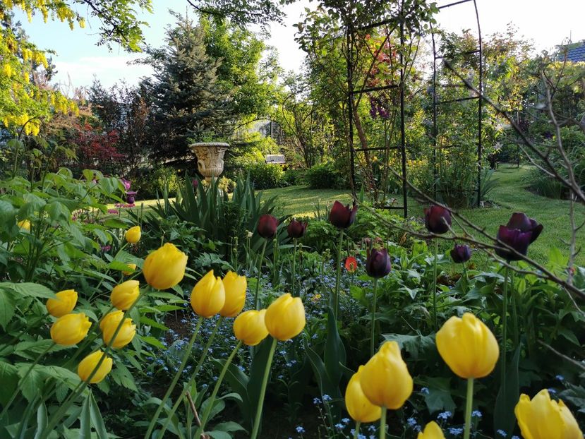 - Gradina 2021