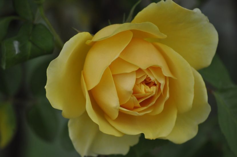 _DSC0097 - PRIMAVARA 2021_5