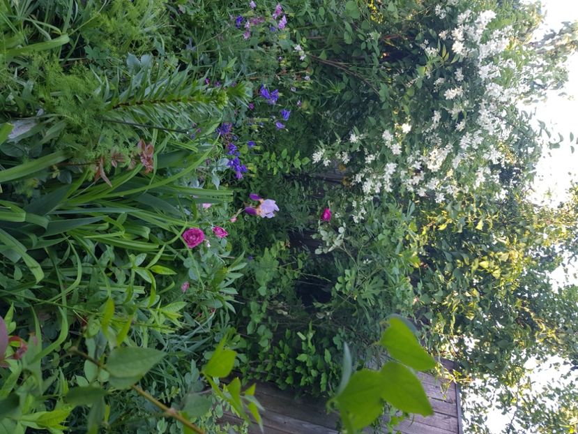  - Caldaruse 2020-2023