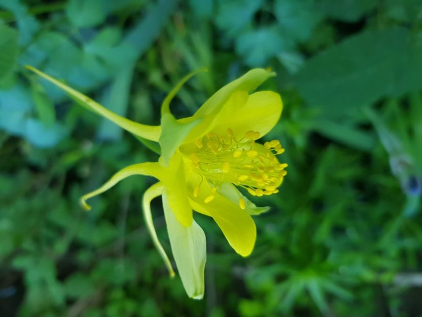  - Caldaruse 2020-2023