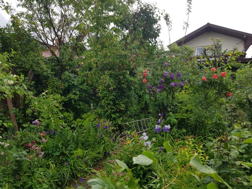  - Caldaruse 2020-2023