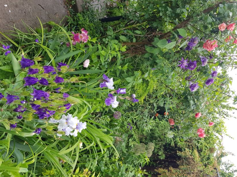  - Caldaruse 2020-2023