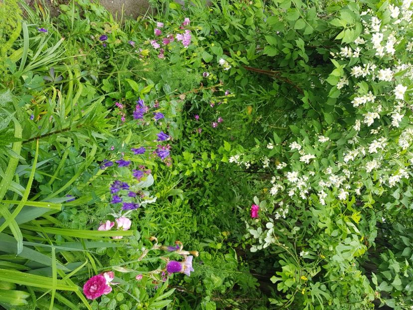  - Caldaruse 2020-2023