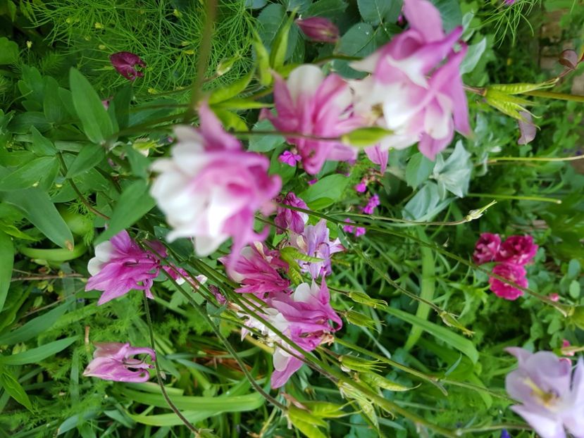  - Caldaruse 2020-2023