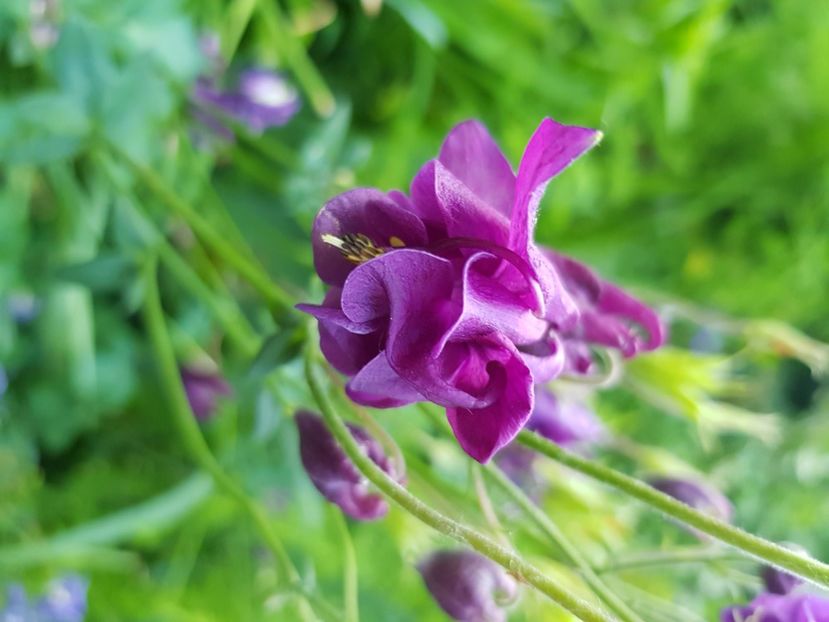  - Caldaruse 2020-2023