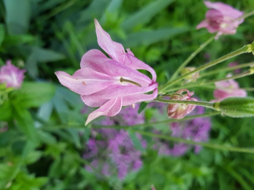  - Caldaruse 2020-2023