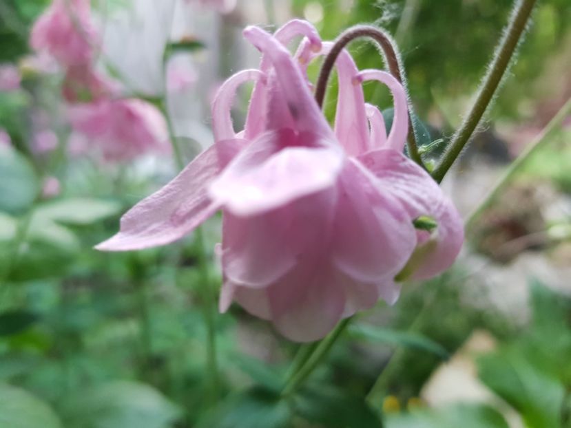  - Caldaruse 2020-2023