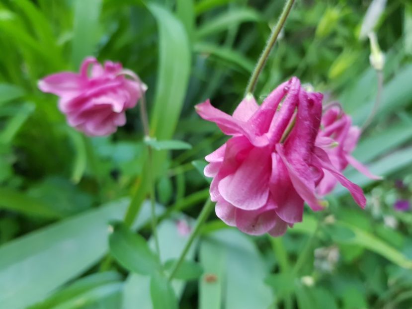  - Caldaruse 2020-2023