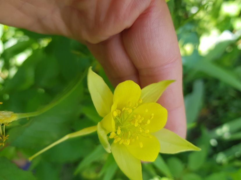  - Caldaruse 2020-2023