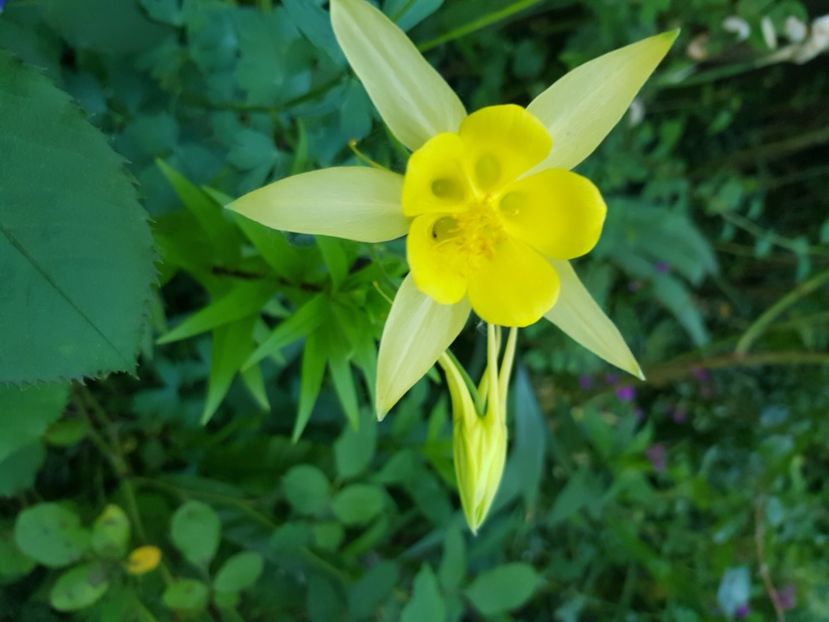  - Caldaruse 2020-2023