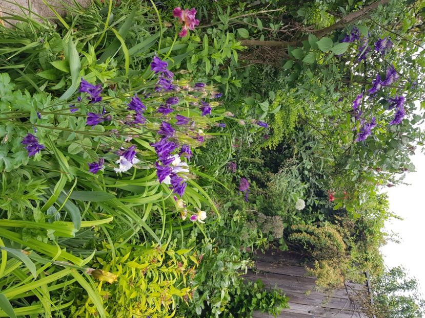  - Caldaruse 2020-2023