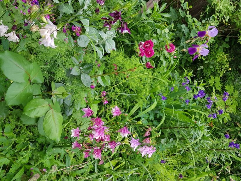  - Caldaruse 2020-2023