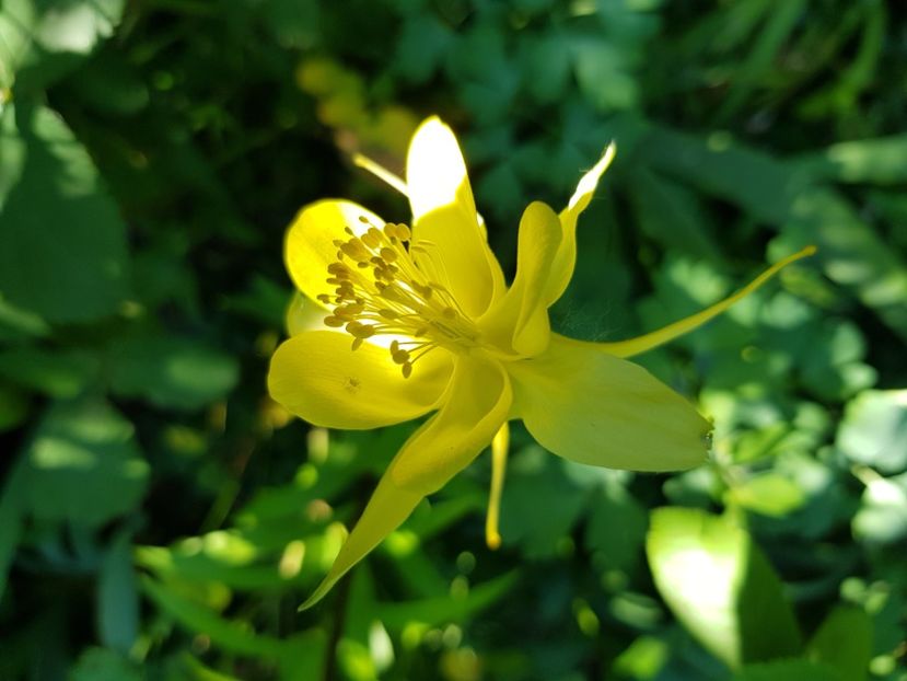  - Caldaruse 2020-2023