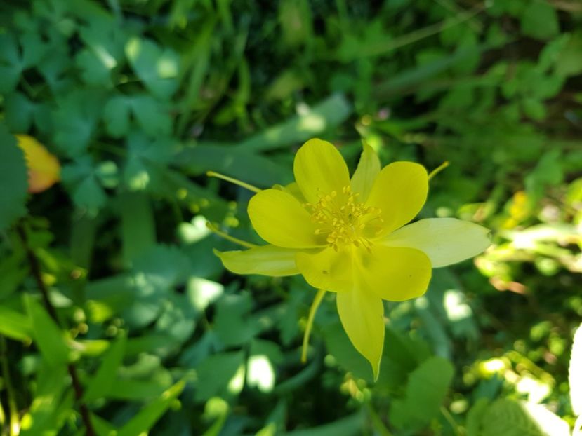  - Caldaruse 2020-2023