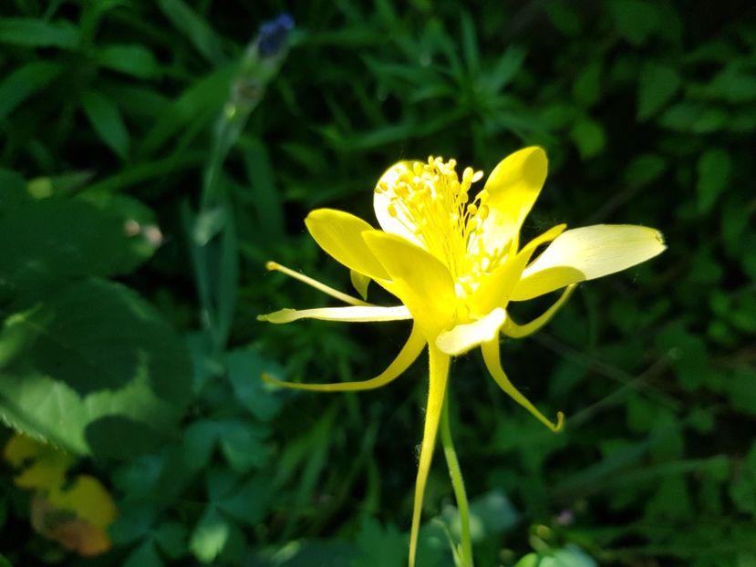  - Caldaruse 2020-2023