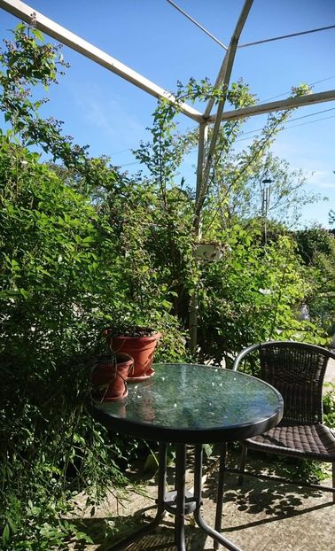 received_881543015736079 - Primăvara 2021