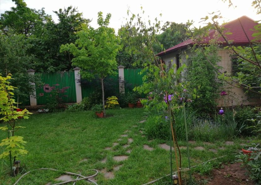  - 2021 feb martie aprilie mai