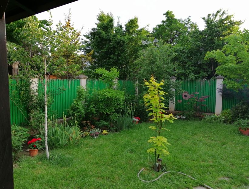  - 2021 feb martie aprilie mai