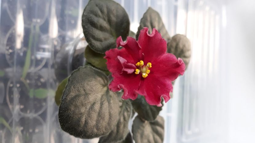  - LE Beteligheyze zzz