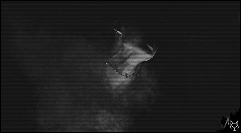 ↳ᶜᵇ⁹⁷ • XXV.V.MMXXI - chan_hugsmakeeverythingbetter