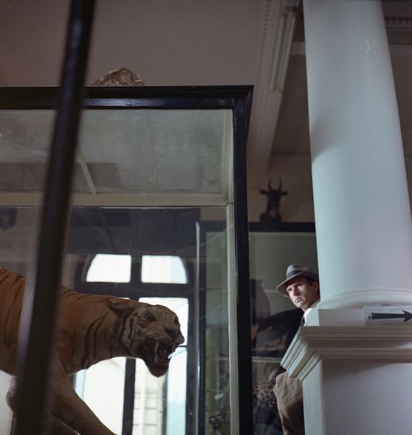 Cu Mainile Curate - Cu Mainile Curate 1972