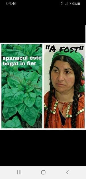  - Divertisment 4